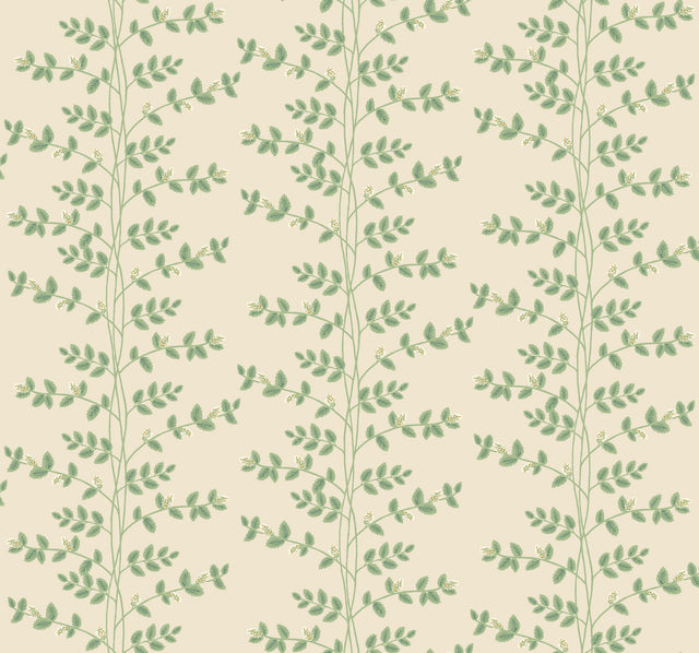 Rifle Paper Co. RF7423 Climbing Vine Linen Wallpaper