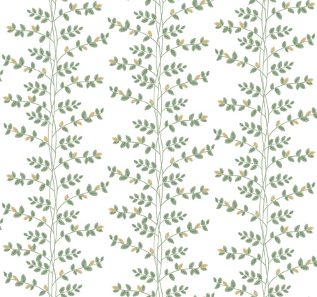 Rifle Paper Co. RF7424 Climbing Vine Gold Wallpaper