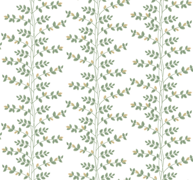 Rifle Paper Co. RF7424 Climbing Vine Gold Wallpaper