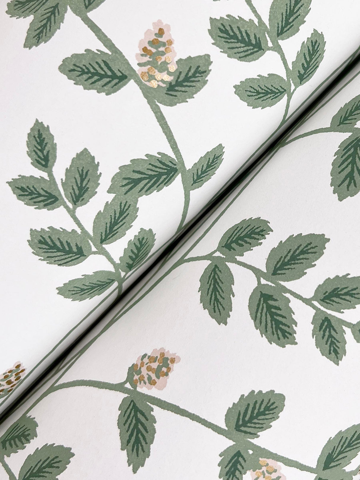 Rifle Paper Co. RF7424 Climbing Vine Gold Wallpaper