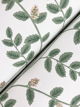 Rifle Paper Co. RF7424 Climbing Vine Gold Wallpaper
