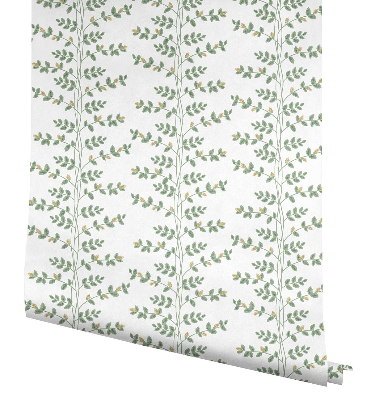 Rifle Paper Co. RF7424 Climbing Vine Gold Wallpaper