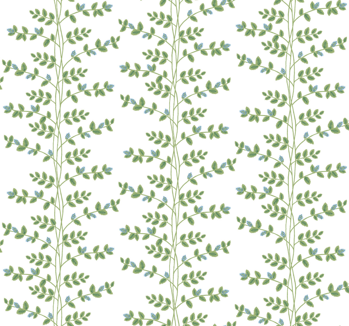 Rifle Paper Co. RF7425 Climbing Vine Blue Wallpaper