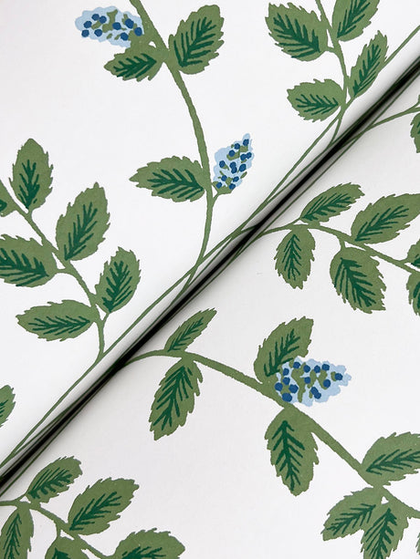Rifle Paper Co. RF7425 Climbing Vine Blue Wallpaper