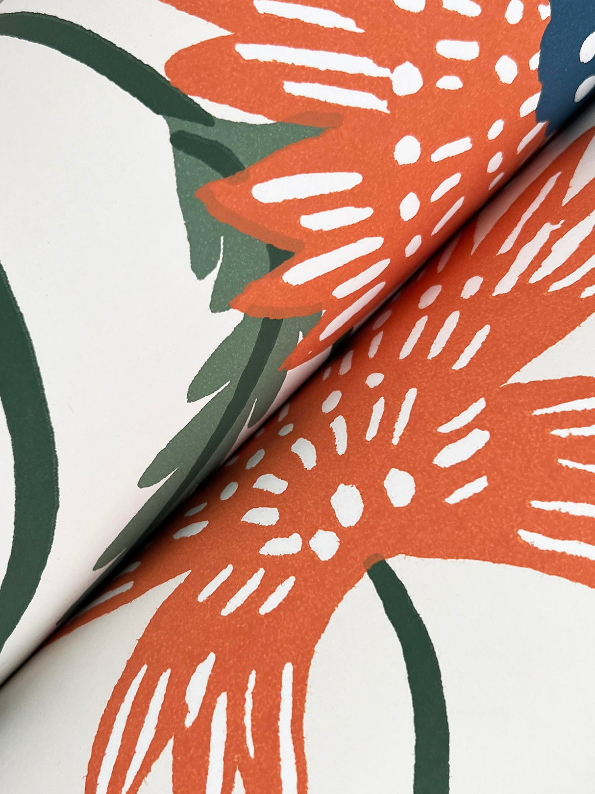 Rifle Paper Co. RF7433 Aster Coral Wallpaper