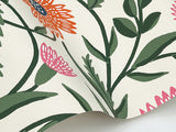 Rifle Paper Co. RF7433 Aster Coral Wallpaper