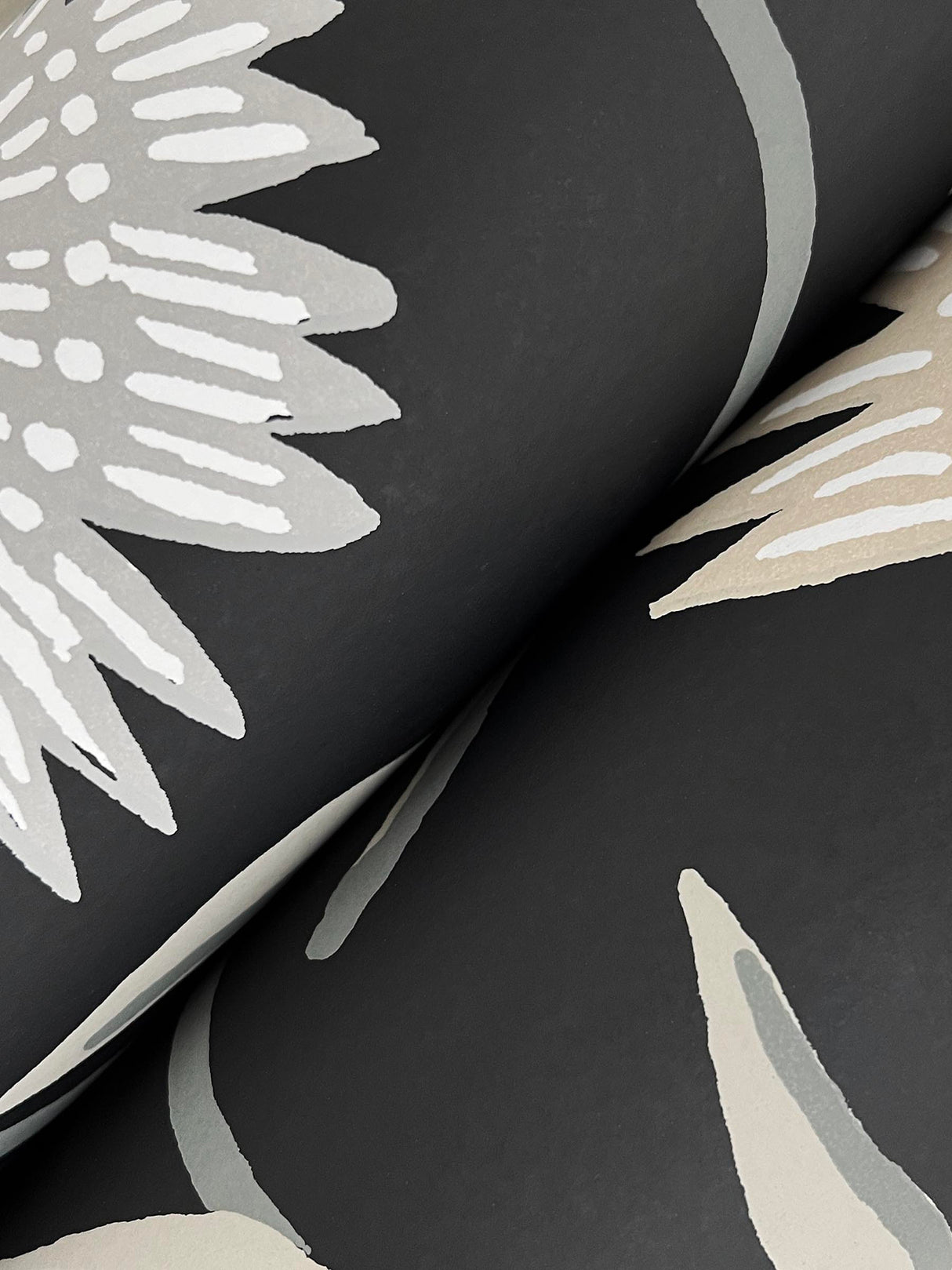 Rifle Paper Co. RF7434 Aster Black Wallpaper