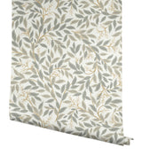 Rifle Paper Co. RF7463 Willowberry Linen Wallpaper