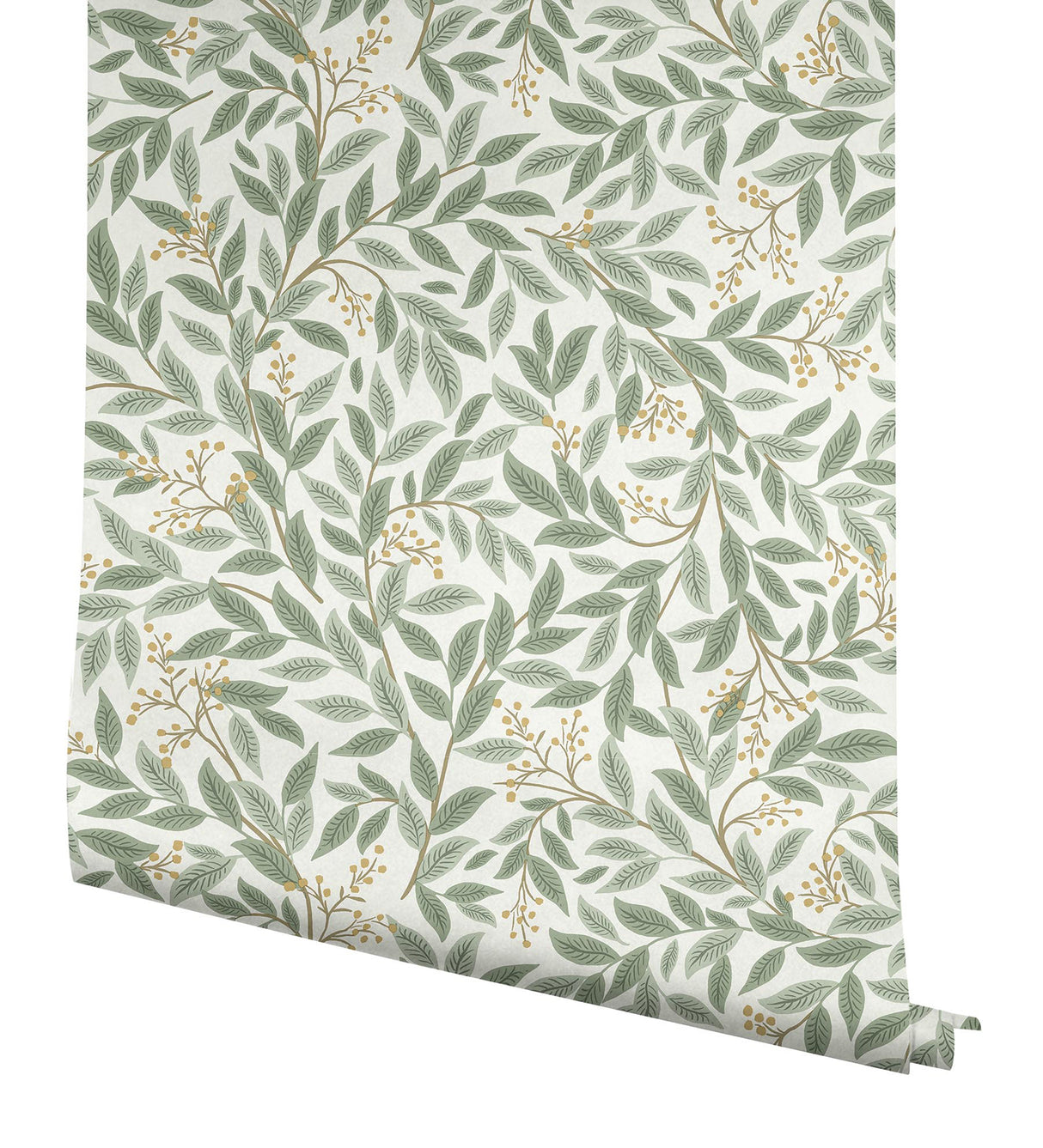 Rifle Paper Co. RF7465 Willowberry Sage Wallpaper