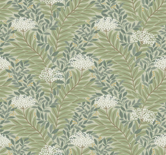 Rifle Paper Co. RF7503 Highgrove Sage Wallpaper