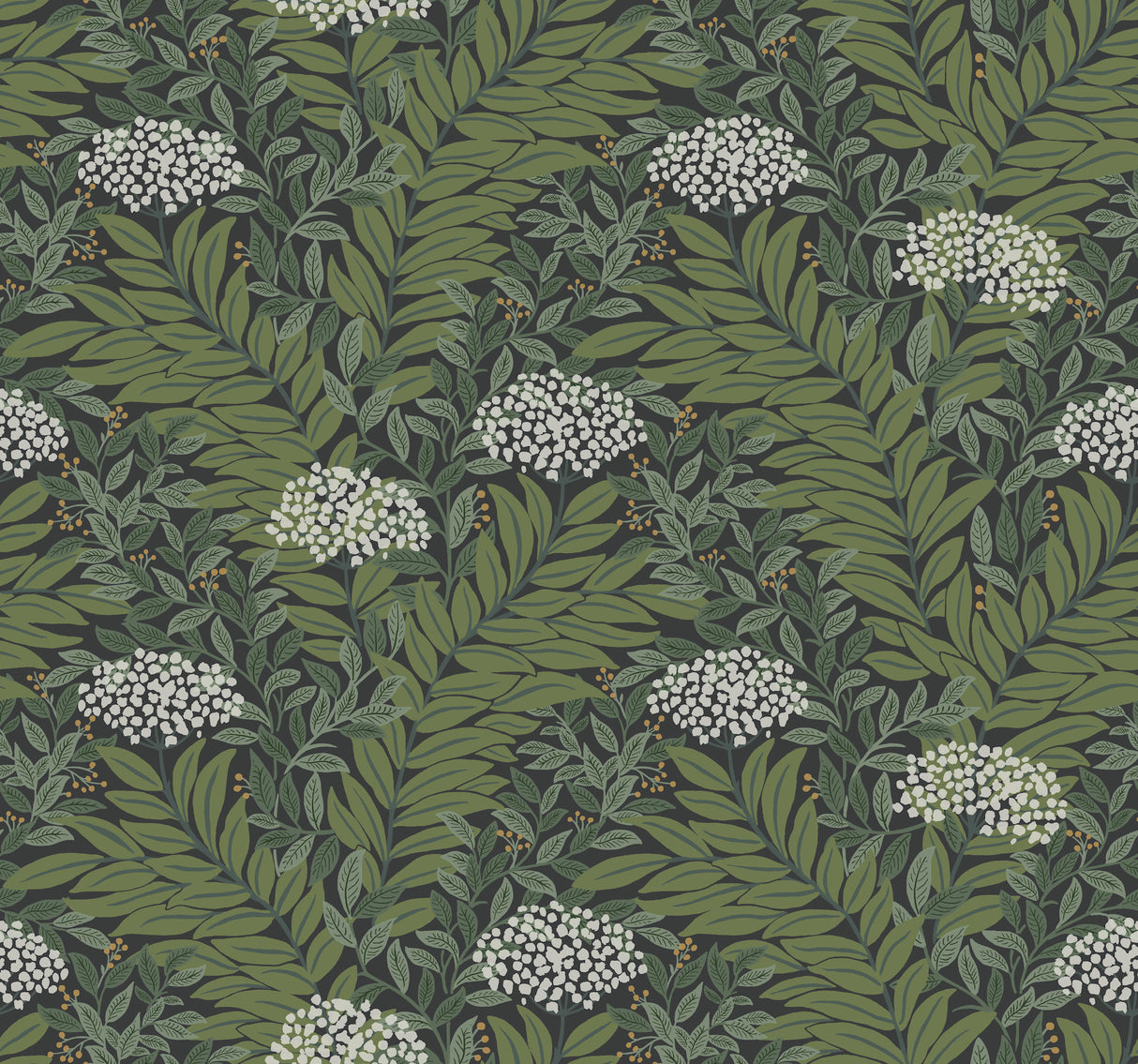 Rifle Paper Co. RF7504 Highgrove Black Wallpaper