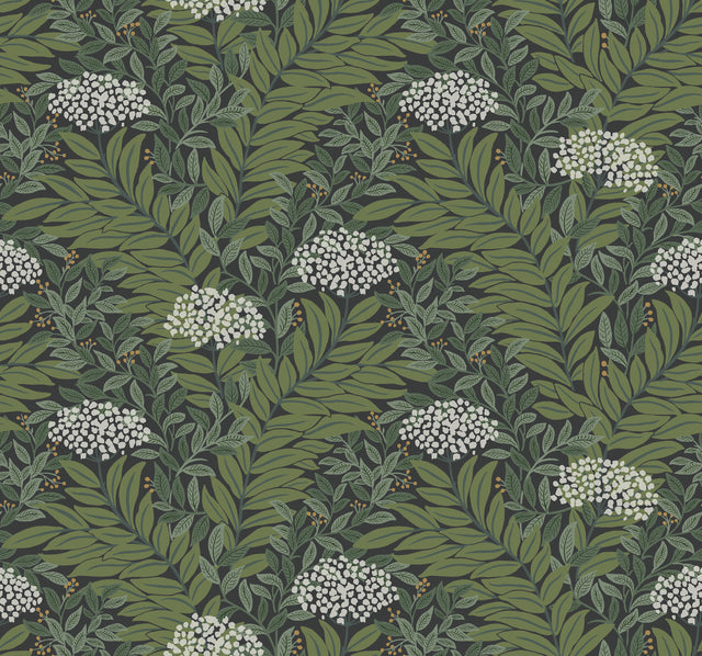 Rifle Paper Co. RF7504 Highgrove Black Wallpaper