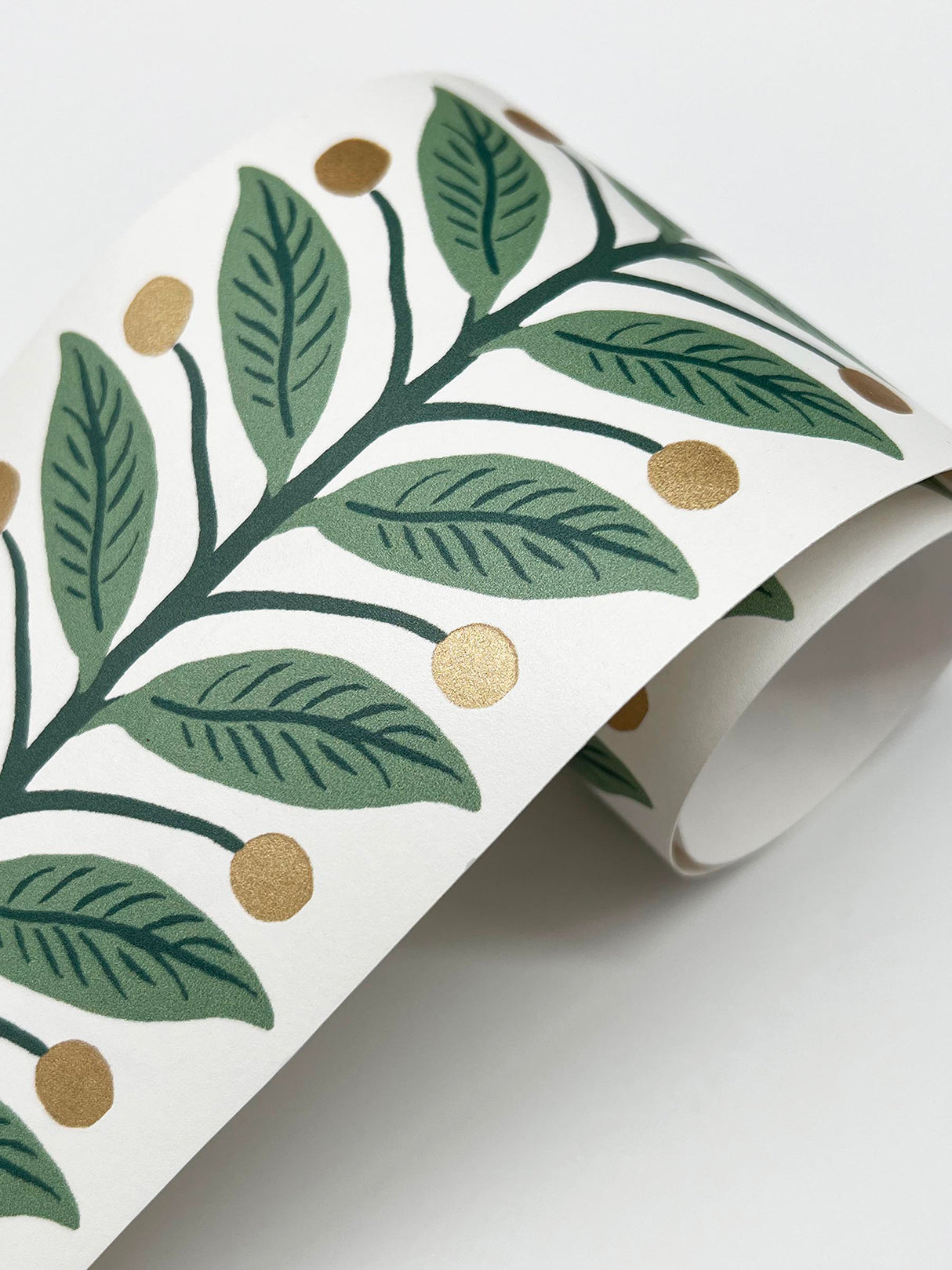 Rifle Paper Co. RF7531B Green Garden Wallpaper Trim