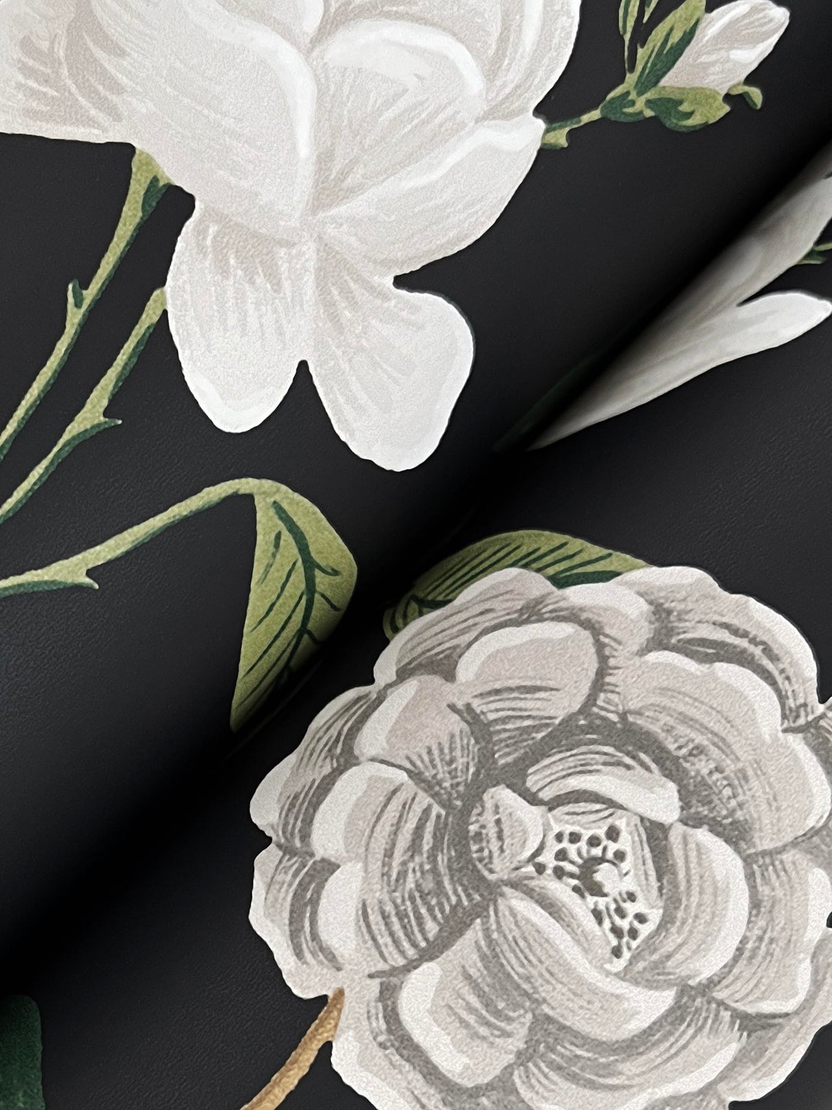 Rifle Paper Co. RF7542 Roses Black Wallpaper