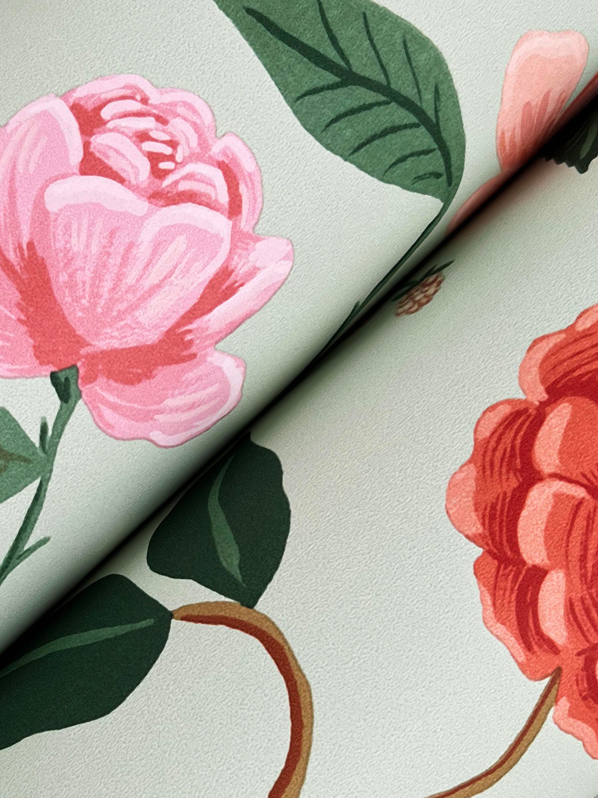 Rifle Paper Co. RF7545 Roses Mint Wallpaper