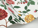 Rifle Paper Co. RF7546 Roses Blush Wallpaper