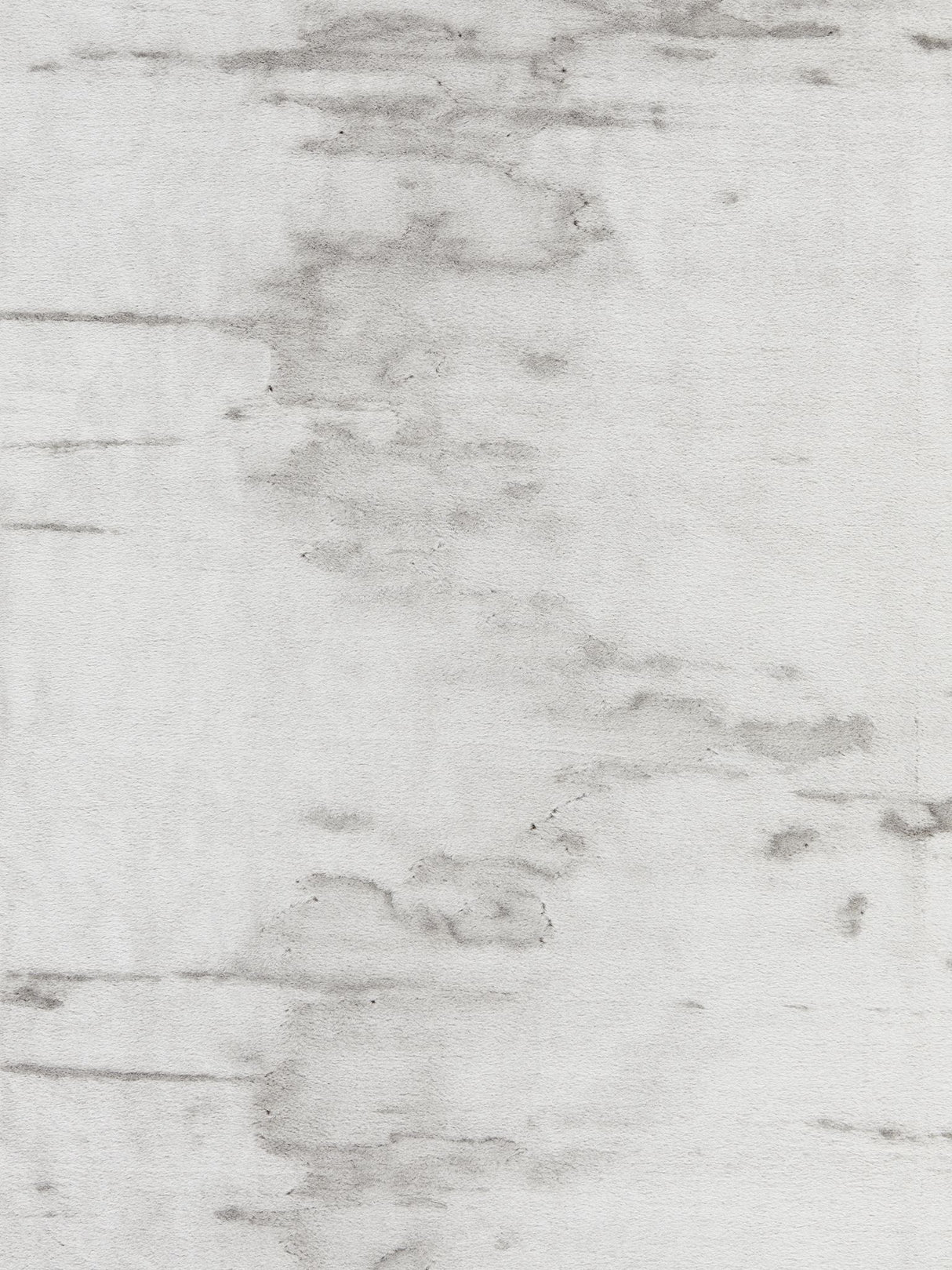 Scalamandre RG 0001BEAR GREIGE POLAR BEAR Fabric - Eade's Wallpaper