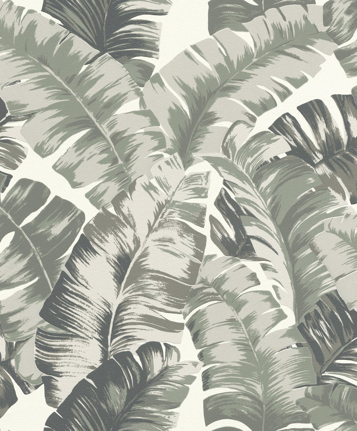 Rasch RH535600 Pisang Sage Palm Leaf Wallpaper