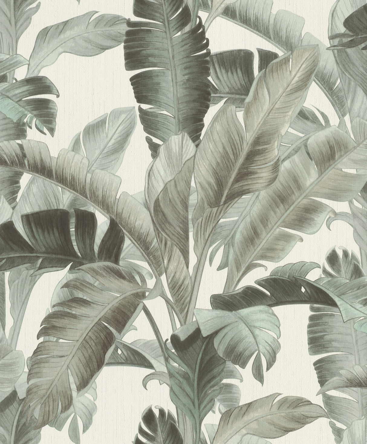 Rasch RH536676 Orissa Sage Palm Frond Wallpaper