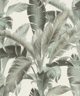 Rasch RH536676 Orissa Sage Palm Frond Wallpaper