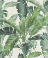 Rasch RH536683 Orissa Green Palm Frond Wallpaper