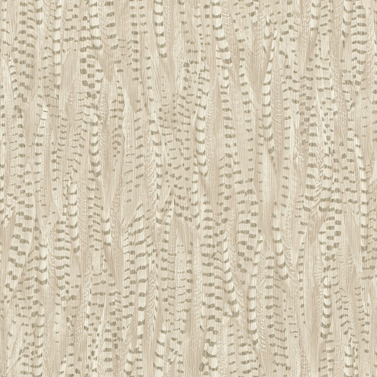 Rasch RH550238 Pinna Cream Feather Texture Wallpaper