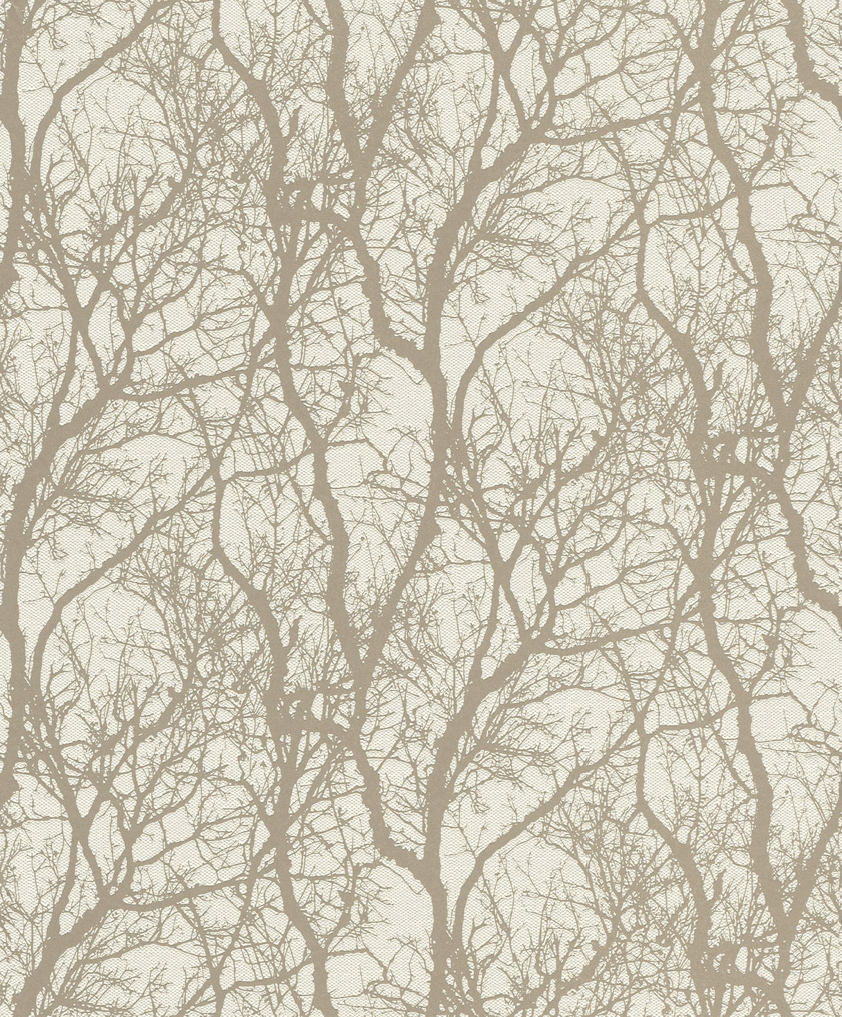 Rasch RH633245 Wiwen Beige Tree Wallpaper