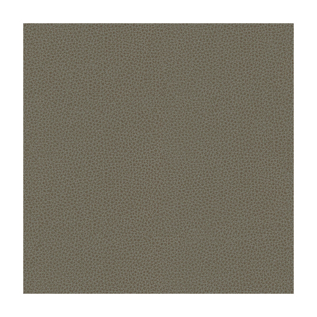 KRAVET DESIGN RIGEL.11.0 KRAVET DESIGN RIGEL-11 Fabric - Eade's Wallpaper
