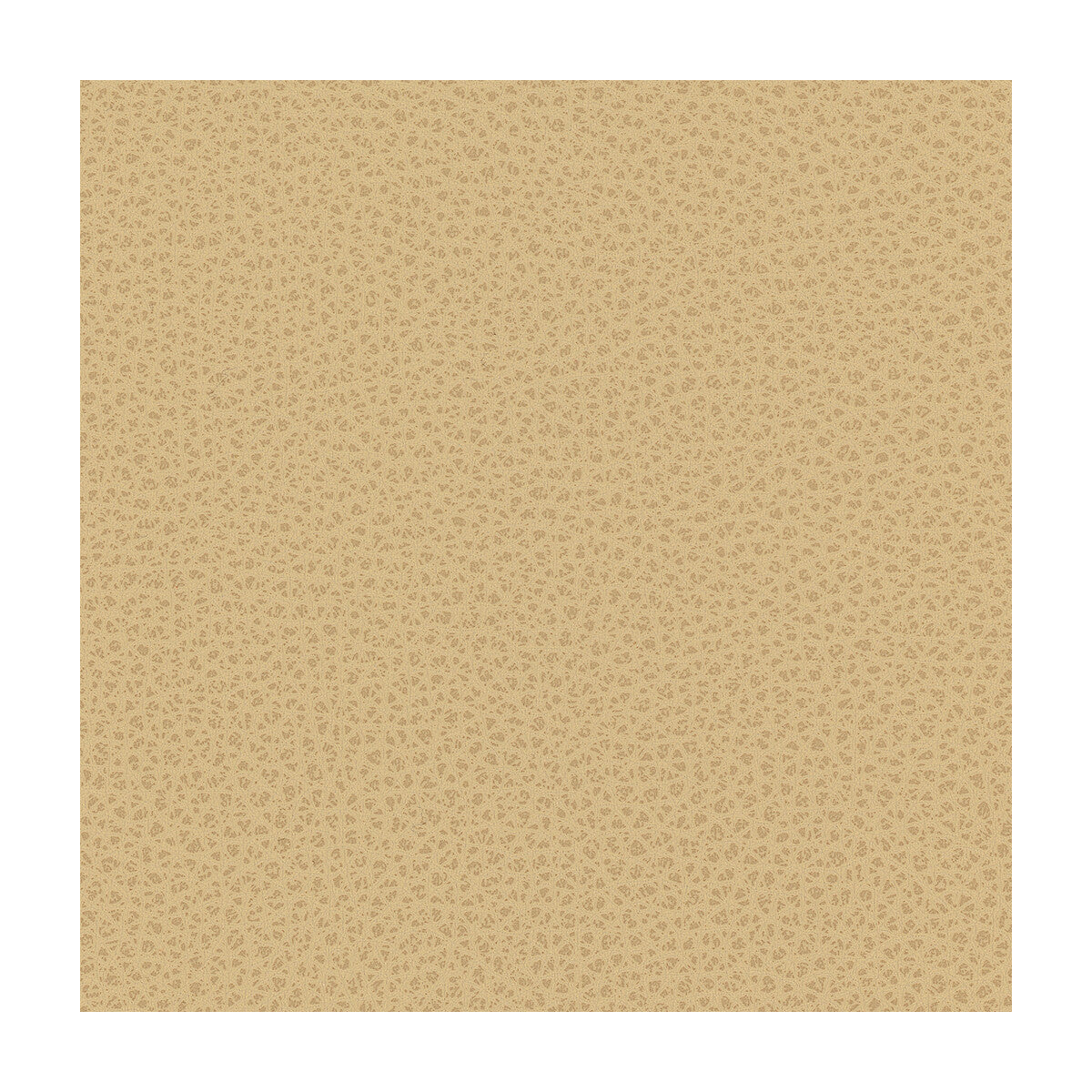 KRAVET DESIGN RIGEL.16.0 KRAVET DESIGN RIGEL-16 Fabric - Eade's Wallpaper