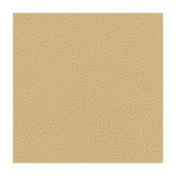 KRAVET DESIGN RIGEL.16.0 KRAVET DESIGN RIGEL-16 Fabric - Eade's Wallpaper