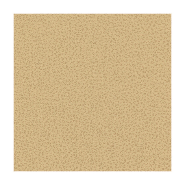 KRAVET DESIGN RIGEL.16.0 KRAVET DESIGN RIGEL-16 Fabric - Eade's Wallpaper