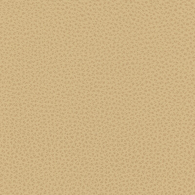 KRAVET DESIGN RIGEL.16.0 KRAVET DESIGN RIGEL-16 Fabric - Eade's Wallpaper