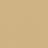 KRAVET DESIGN RIGEL.16.0 KRAVET DESIGN RIGEL-16 Fabric - Eade's Wallpaper