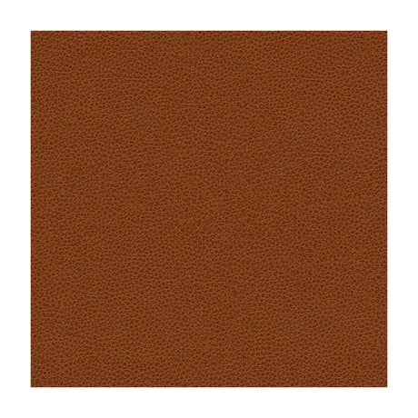 KRAVET DESIGN RIGEL.24.0 KRAVET DESIGN RIGEL-24 Fabric - Eade's Wallpaper