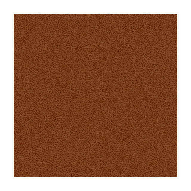 KRAVET DESIGN RIGEL.24.0 KRAVET DESIGN RIGEL-24 Fabric - Eade's Wallpaper