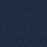 KRAVET DESIGN RIGEL.5.0 KRAVET DESIGN RIGEL-5 Fabric - Eade's Wallpaper