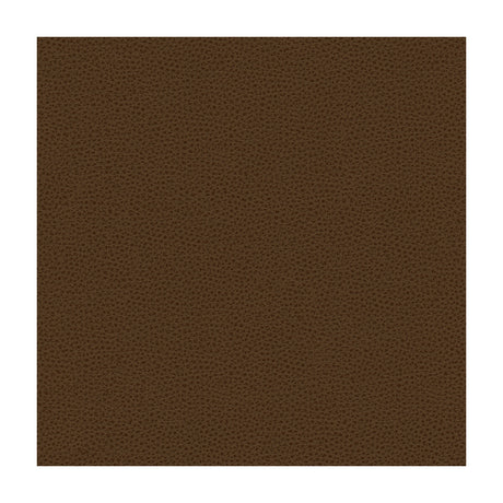 KRAVET DESIGN RIGEL.6.0 KRAVET DESIGN RIGEL-6 Fabric - Eade's Wallpaper