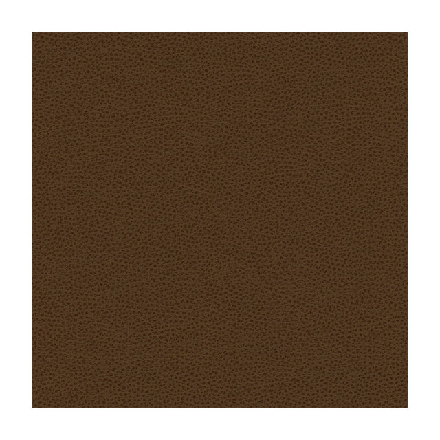 KRAVET DESIGN RIGEL.6.0 KRAVET DESIGN RIGEL-6 Fabric - Eade's Wallpaper