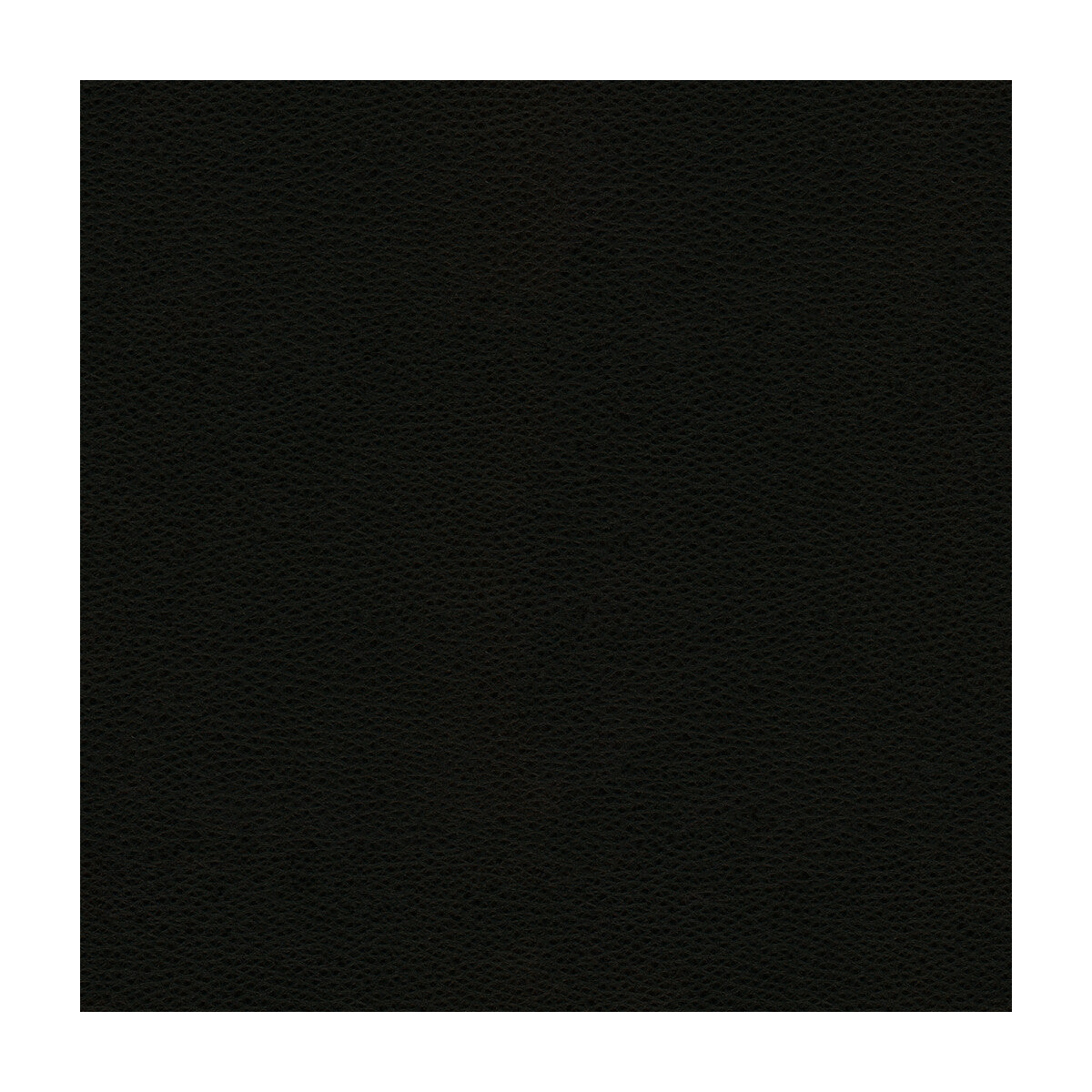 KRAVET DESIGN RIGEL.8.0 KRAVET DESIGN RIGEL-8 Fabric - Eade's Wallpaper