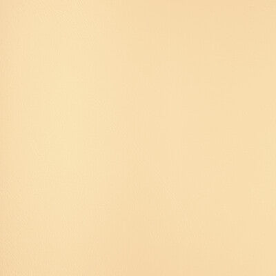 KRAVET DESIGN RIND.101.0 KRAVET DESIGN RIND-101 Fabric - FAUX LEATHER IV