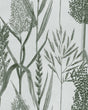 MindtheGap RIVERSIDE FLORA Offwhite - Wallpaper Collection 2024 - The Wetlands