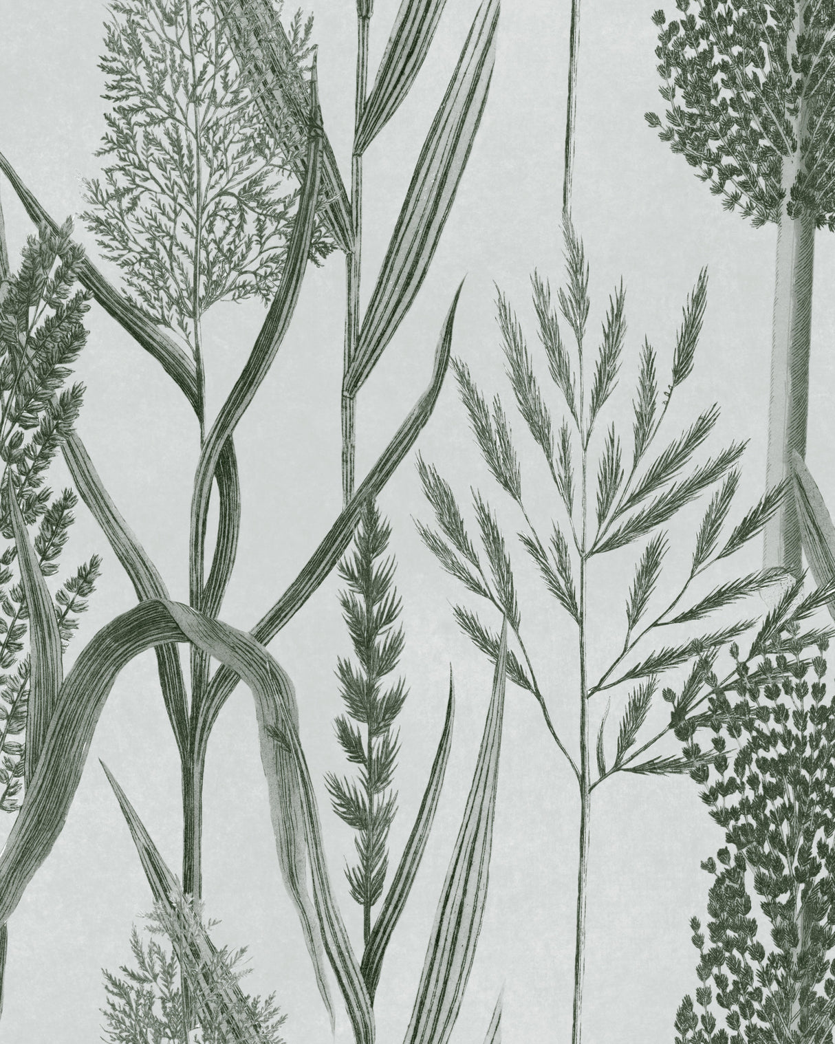 MindtheGap RIVERSIDE FLORA Offwhite - Wallpaper Collection 2024 - The Wetlands