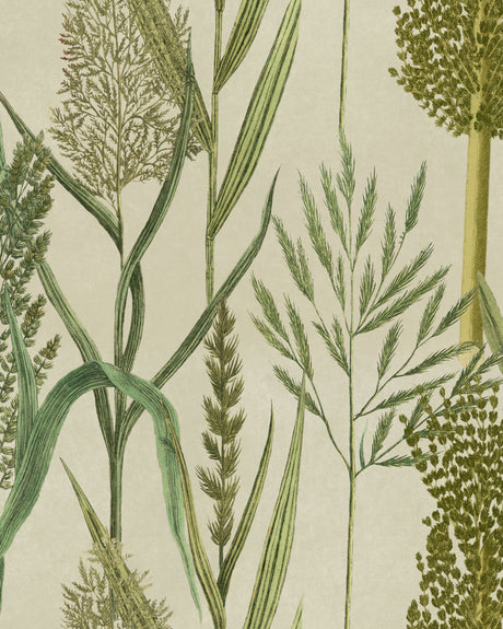 MindtheGap RIVERSIDE FLORA Taupe - Wallpaper Collection 2024 - The Wetlands