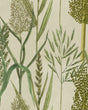 MindtheGap RIVERSIDE FLORA Taupe - Wallpaper Collection 2024 - The Wetlands