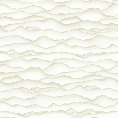 RoomMates RMK10694WP Singed Peel and Stick Wallpaper - Eade's Wallpaper