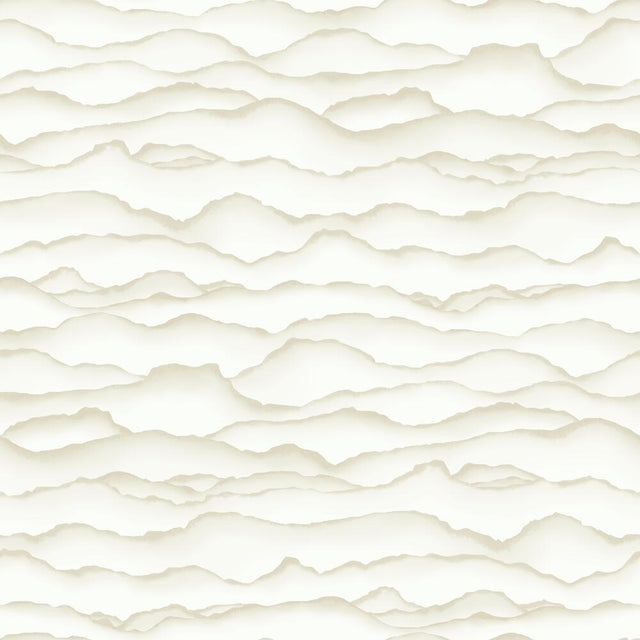 RoomMates RMK10694WP Singed Peel and Stick Wallpaper - Eade's Wallpaper