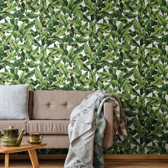 RoomMates RMK11257WP Palm Peel and Stick Wallpaper - Eade's Wallpaper