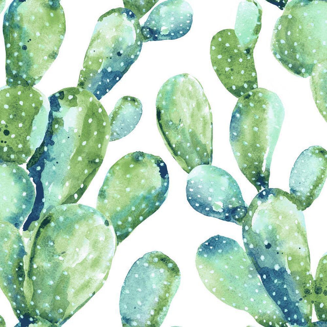RoomMates RMK11351WP Prickly Pear Cactus Peel and Stick Wallpaper - Eade's Wallpaper