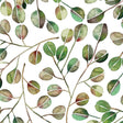 RoomMates RMK11630WP Cat Coquillette Eucalyptus Peel & Stick Wallpaper - Eade's Wallpaper