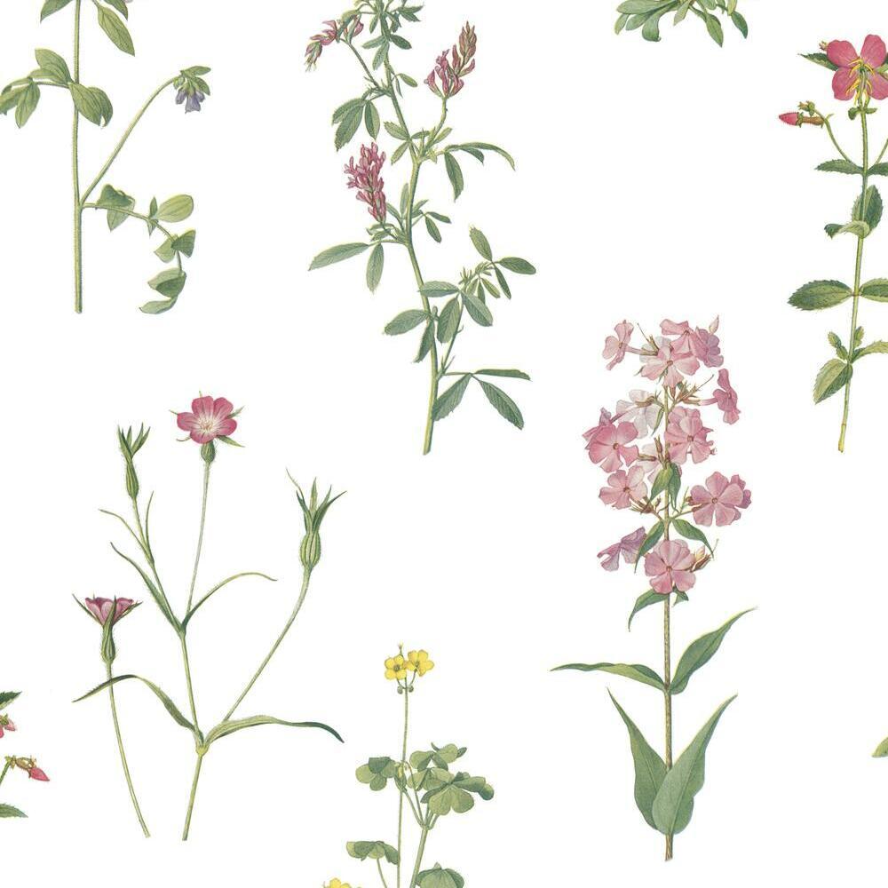 RoomMates RMK11644RL Botanical Peel and Stick Wallpaper - Eade's Wallpaper